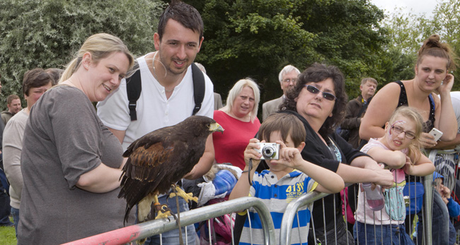 Boy Photographing an Eagle