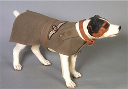 Royal Flying Corps Yorkshire Terrier