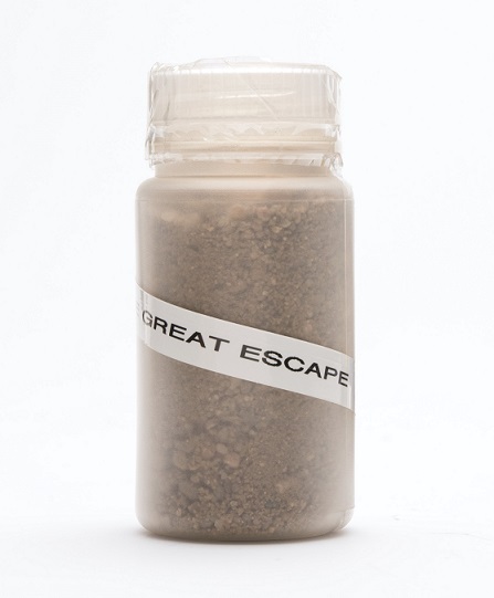 Sand from Stalag Luft III Parade Ground, The Great Escape