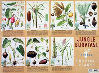 Jungle survival: Edible tropical plants