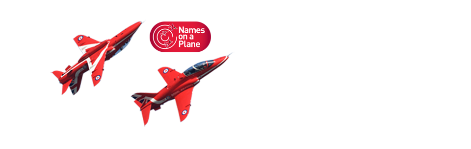 Names on a Plane 2017