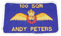 Pilots Wings: modern RAF