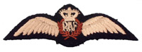 Pilots Wings: RAF